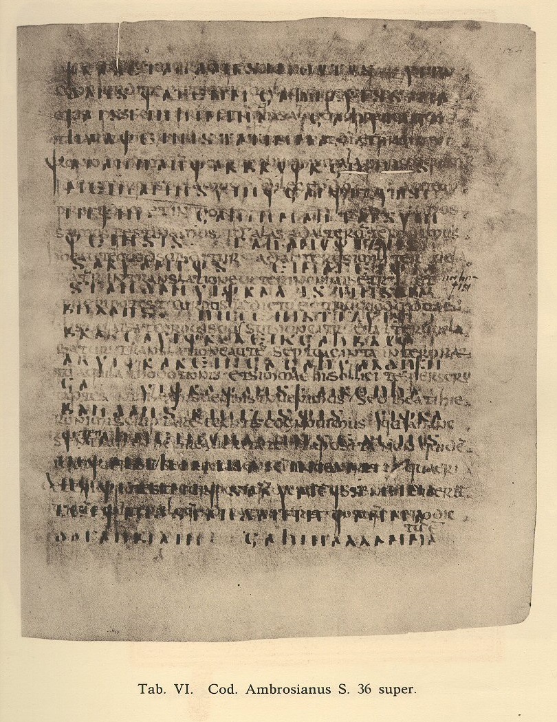 Codex Ambrosianus