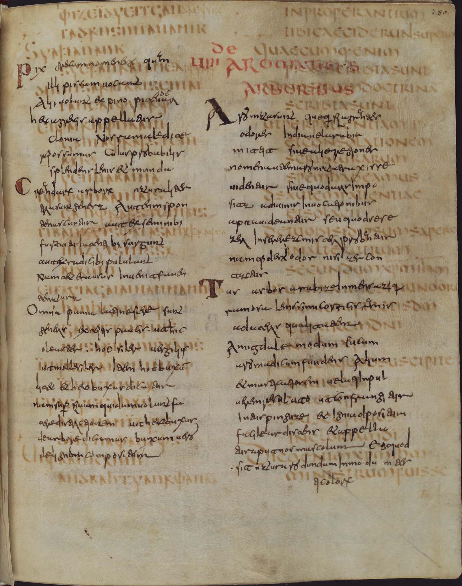 Codex Carolinus